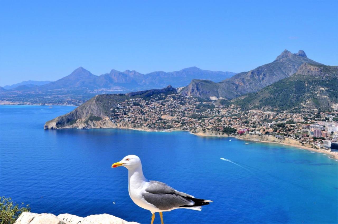 Acan0306 Calpe Exteriör bild